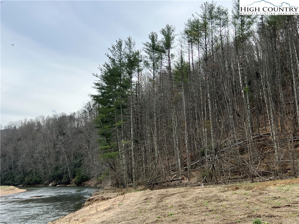 No # Edna Perry Road Crumpler, NC 28617 - Photo 1 of 8