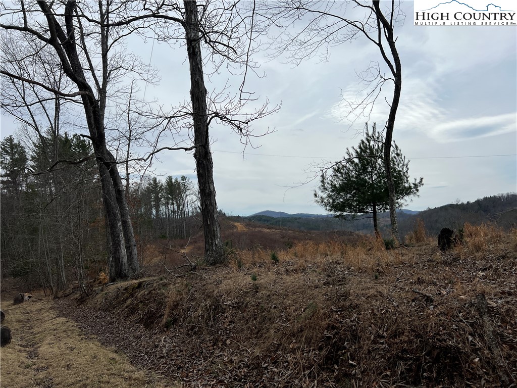 No # Edna Perry Road Crumpler, NC 28617 - Photo 3 of 6 a view of a backyard of the house