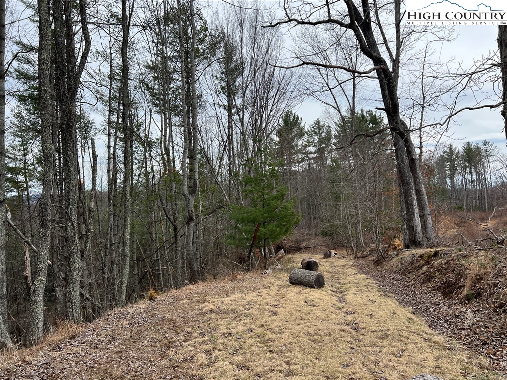 No # Edna Perry Road Crumpler, NC 28617 - Photo 4 of 6 a backyard of a house with lots of green space