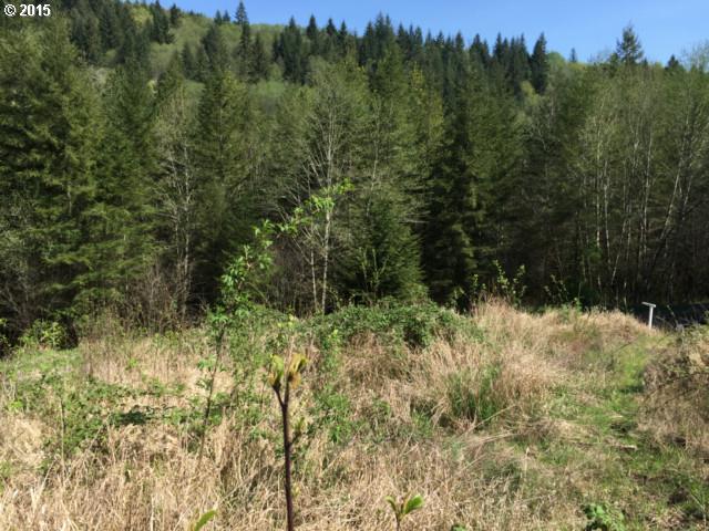 Northeast Elliott Road Yacolt, WA 98675 - Photo 2 of 8 Gallery Image 2
