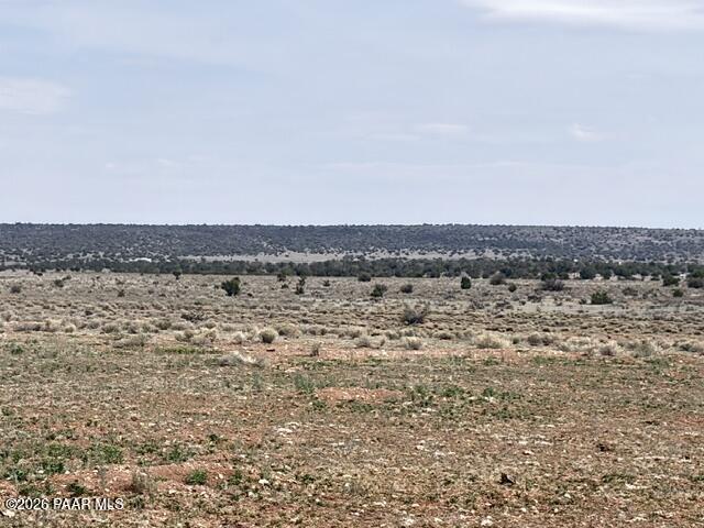 595 Ravens Rest Seligman, AZ 86337 - Photo 3 of 22