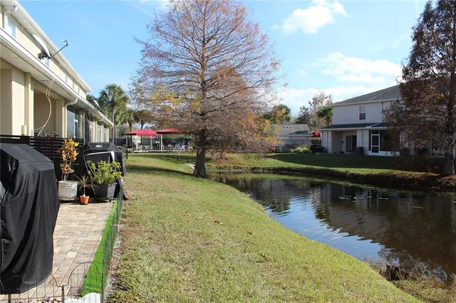 a view of a park with large trees