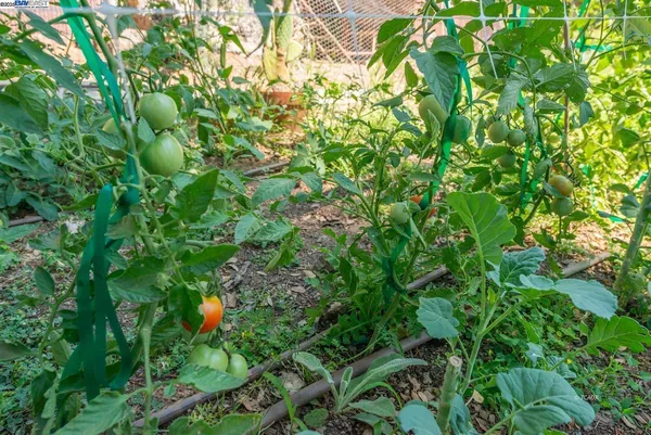 $160,000 | 94 Wonder Stamp Lane, Big Bar, CA 96010