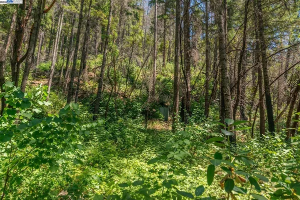 $160,000 | 94 Wonder Stamp Lane, Big Bar, CA 96010