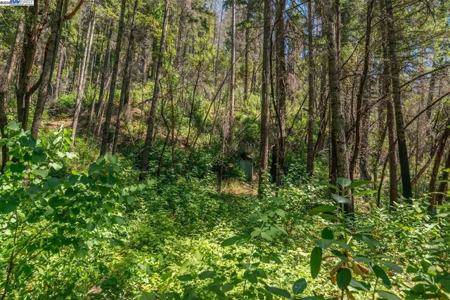 $170,000 | 94 Wonder Stamp Lane, Big Bar, CA 96010