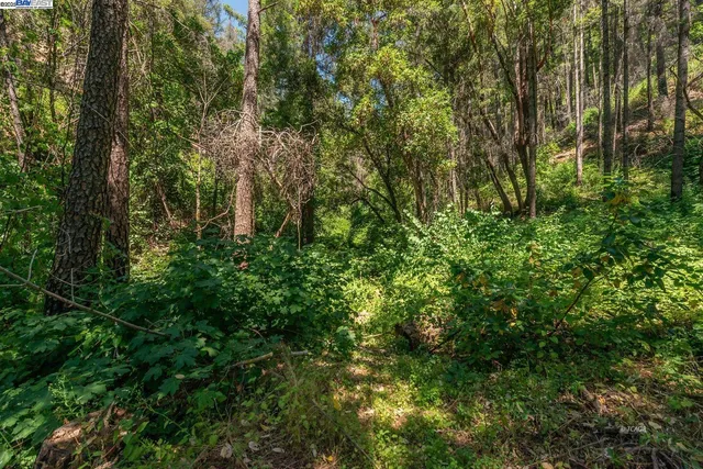 $170,000 | 94 Wonder Stamp Lane, Big Bar, CA 96010