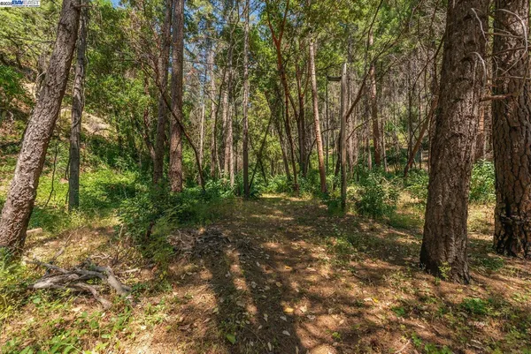 $160,000 | 94 Wonder Stamp Lane, Big Bar, CA 96010