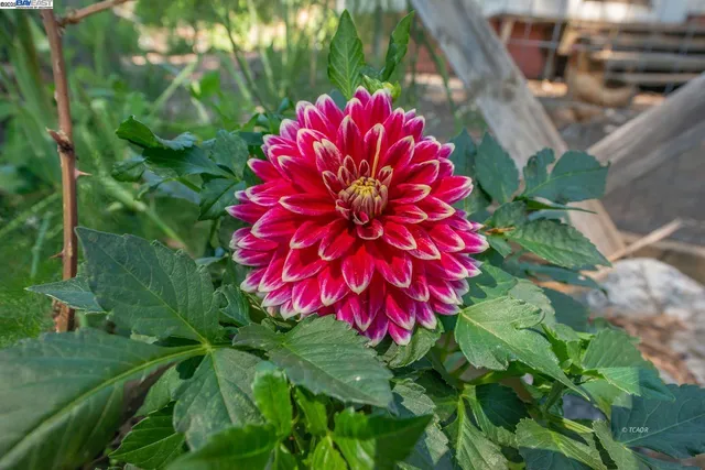 $170,000 | 94 Wonder Stamp Lane, Big Bar, CA 96010