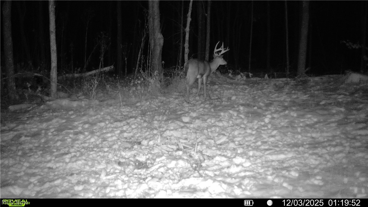 Spence Hill Road Caldwell, OH 43724 - Photo 25 of 49 Gallery Image 25