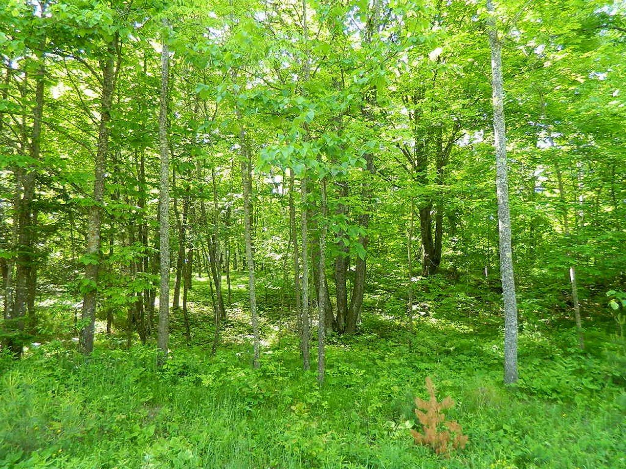 7059 Malm Road Winter, WI 54896 - Photo 8 of 12 Gallery Image 8