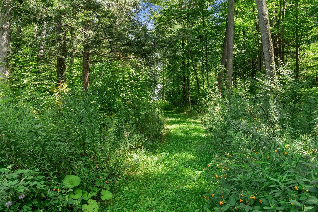 572 Rock Stream Road Starkey, NY 14878 - Photo 37 of 44