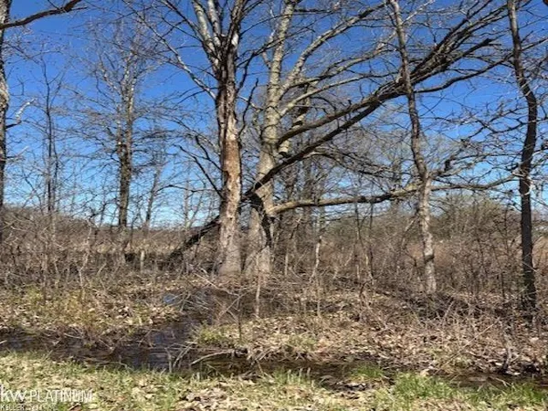 $25,000 | 0 Petz Road, Imlay City, MI 48444