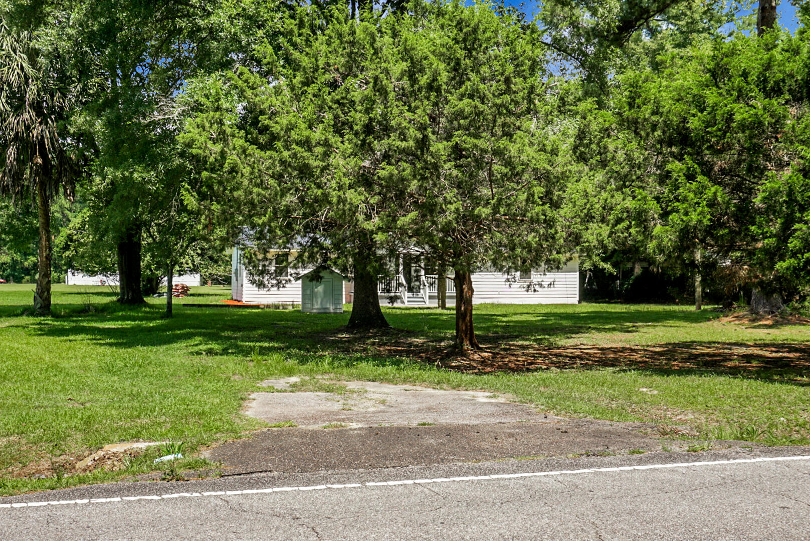 1393 Harristown Road Bonneau, SC 29431 - Photo 3 of 57 DSC06338