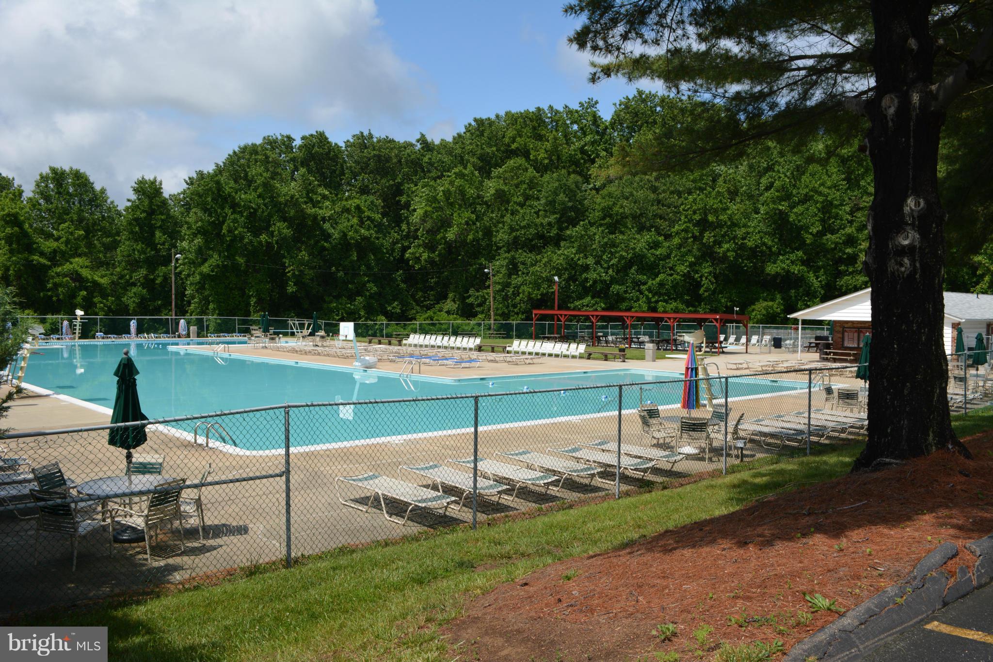 16015 Jerald Road Laurel, MD 20707 - Photo 30 of 30 Community - Pool