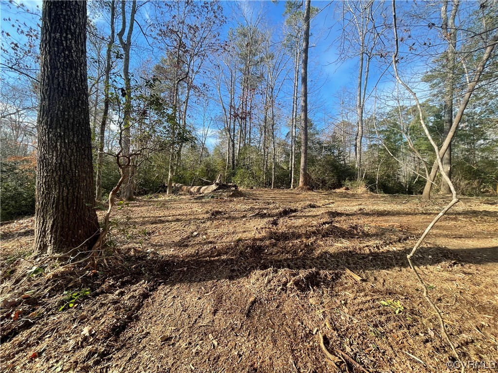 2 Carter Road Lanexa, VA 23089 - Photo 5 of 12 Partially Cleared Homesite
