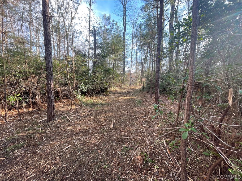 2 Carter Road Lanexa, VA 23089 - Photo 8 of 12 Another Path