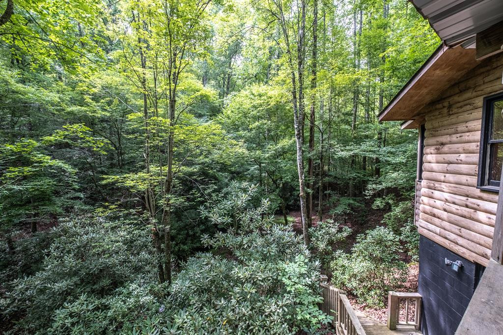 105 Old Orch Road Murphy, NC 28906 - Photo 72 of 75