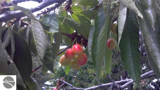 12586 Center Road Traverse City, MI 49686 - Photo 10 of 17 1789608-9.JPG