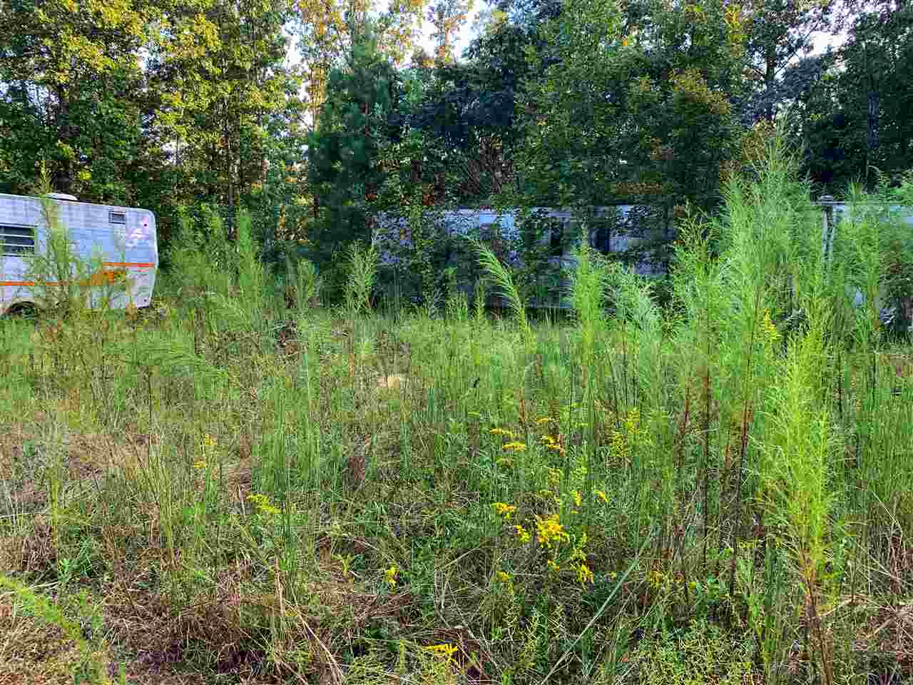 3935 Natural Bridge Road Waynesboro, TN 38485 - Photo 22 of 25 Gallery Image 22