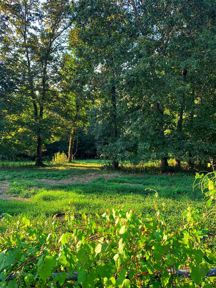 3935 Natural Bridge Road Waynesboro, TN 38485 - Photo 24 of 25 Gallery Image 24
