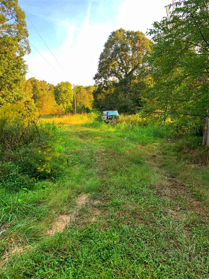 3935 Natural Bridge Road Waynesboro, TN 38485 - Photo 25 of 25 Gallery Image 25