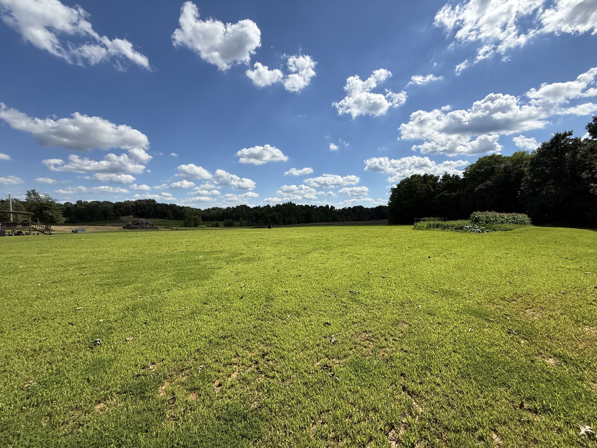 2333 Shady Grove Road McKenzie, TN 38201 - Photo 32 of 72