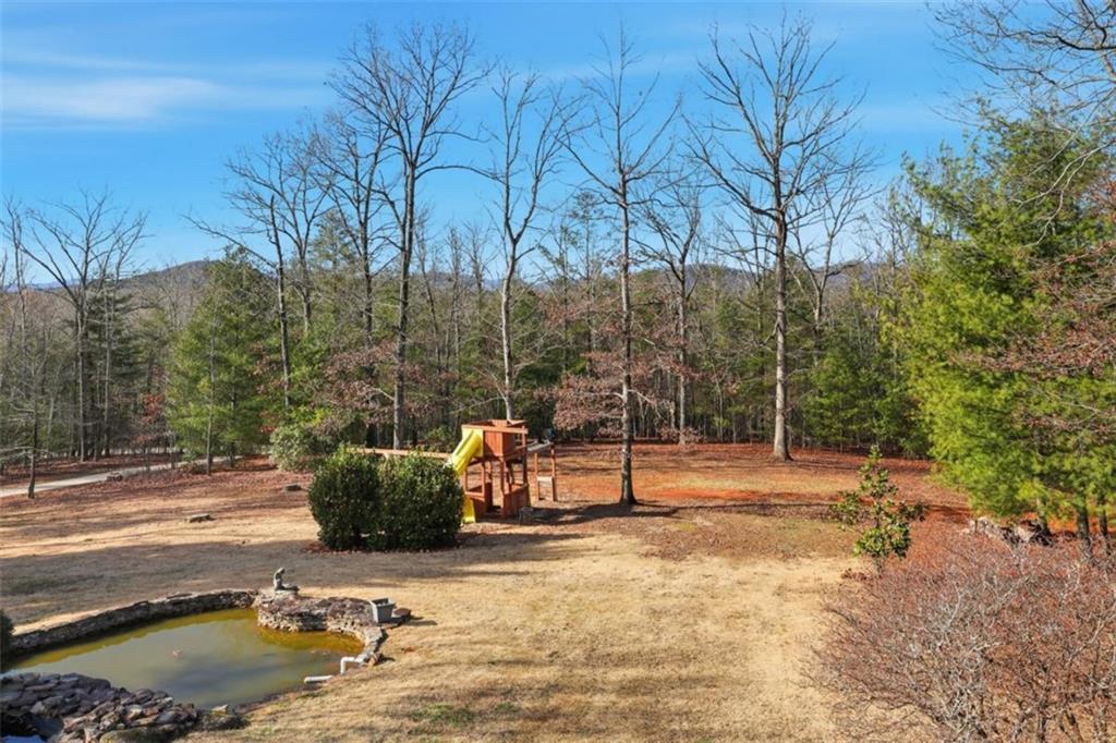 1401 Adair Mill Road Cleveland, GA 30528 - Photo 3 of 62 a backyard of a house with table and chairs