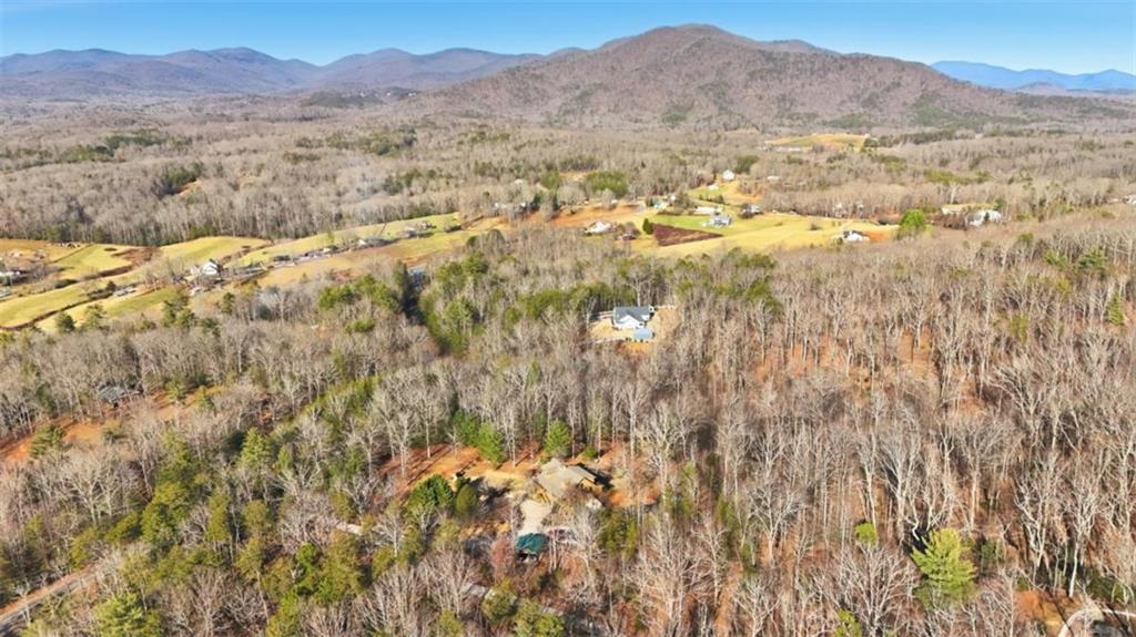 1401 Adair Mill Road Cleveland, GA 30528 - Photo 52 of 62