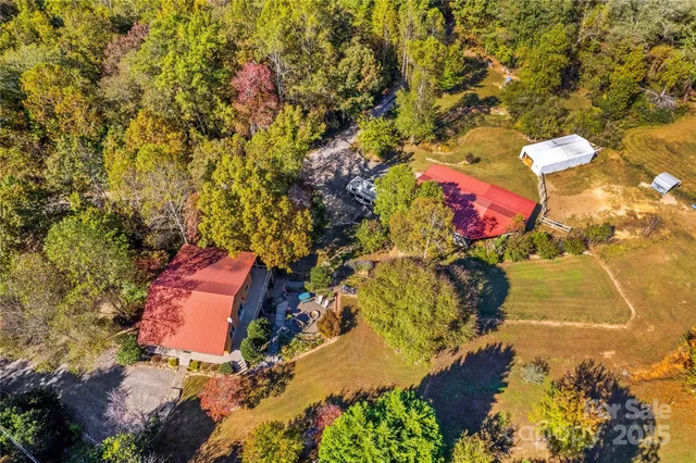 a picture of flowers