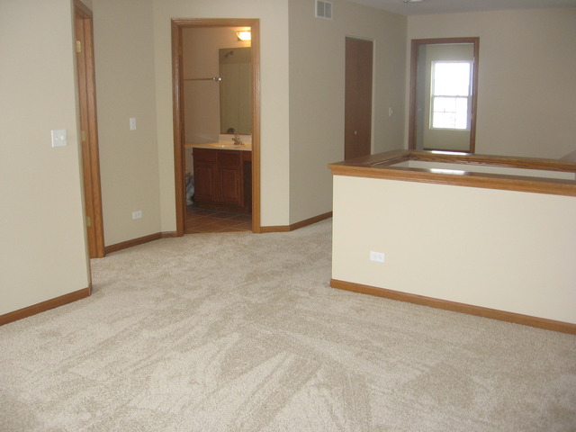 1974 West Cobblestone Road, Unit 3532303 Romeoville, IL 60446 - Photo 13 of 23