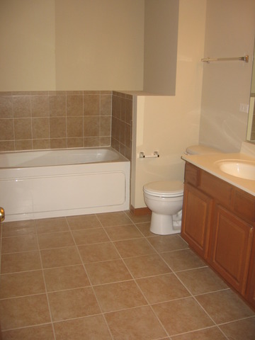 1974 West Cobblestone Road, Unit 3532303 Romeoville, IL 60446 - Photo 18 of 23 a bathroom with a bathtub and a toilet