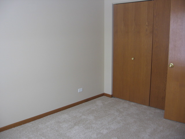 1974 West Cobblestone Road, Unit 3532303 Romeoville, IL 60446 - Photo 20 of 23 a view of an empty room