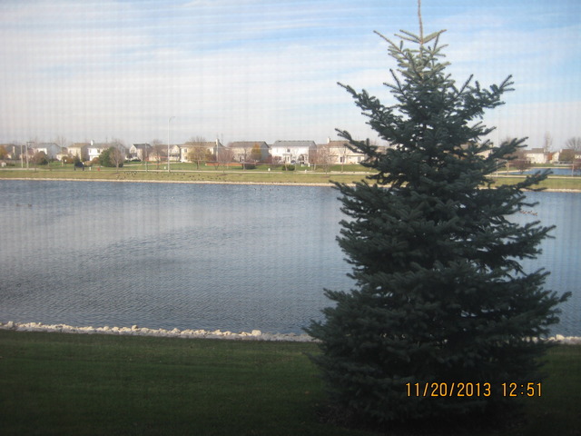 1974 West Cobblestone Road, Unit 3532303 Romeoville, IL 60446 - Photo 3 of 23 a view of a lake