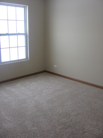 1974 West Cobblestone Road, Unit 3532303 Romeoville, IL 60446 - Photo 21 of 23 an empty room with a window