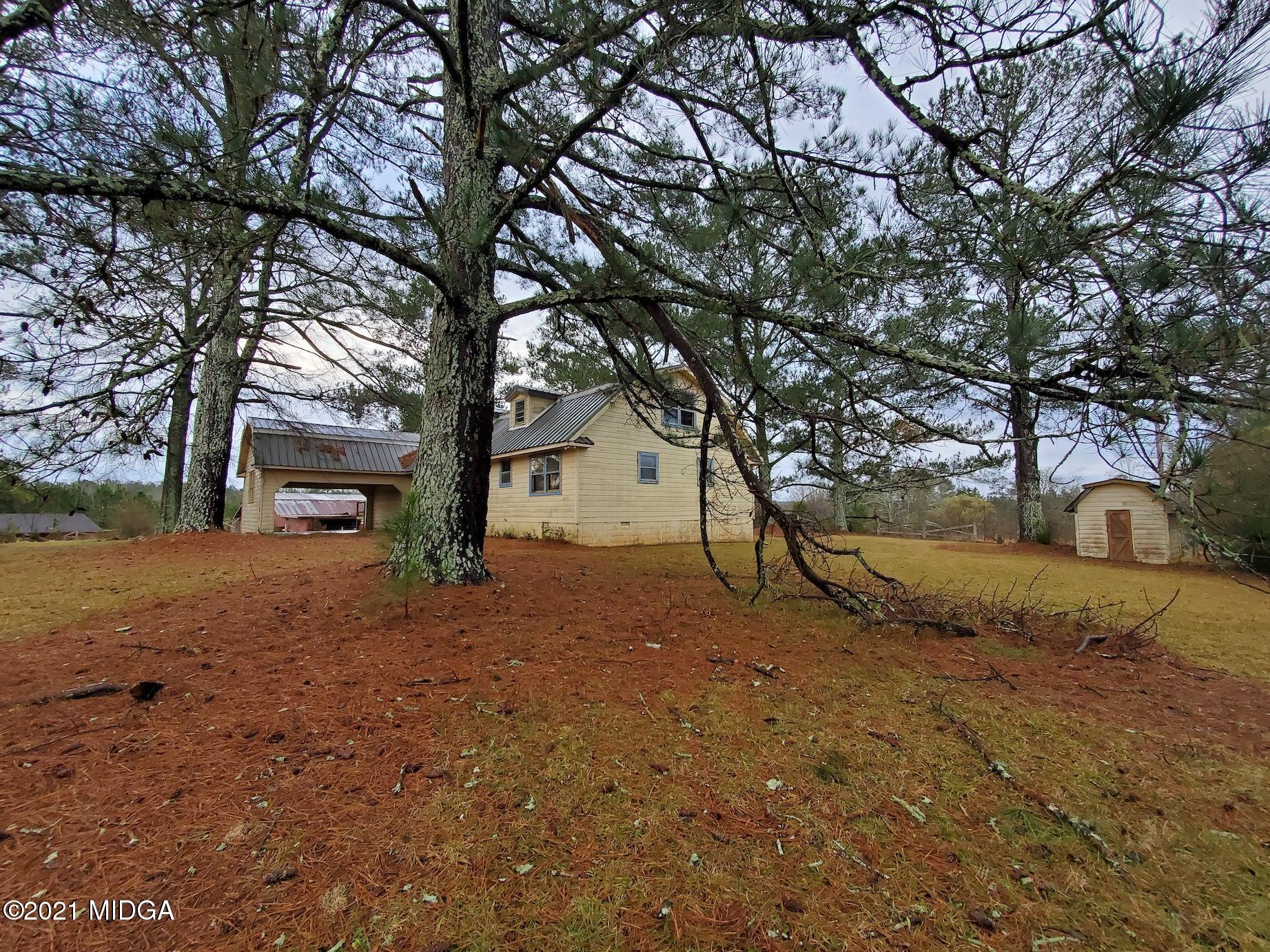 462 Thomas Ferry Road Jackson, GA 30233 - Photo 22 of 27 a view of dirt yard with a large tree