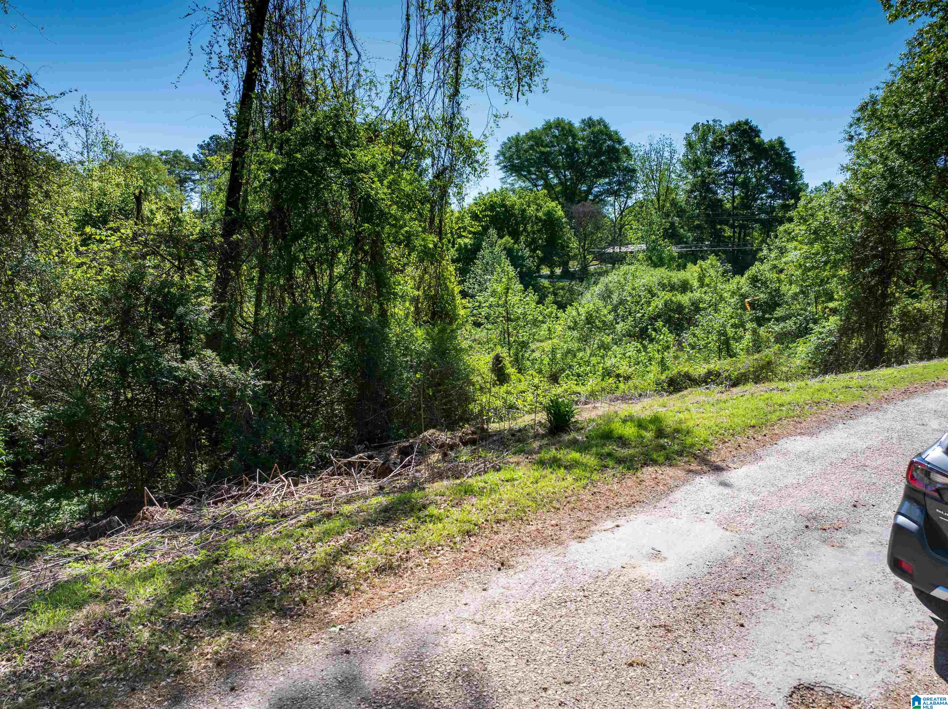 Off Of Joe Brackett Road, Unit X Jasper, AL 35504 - Photo 6 of 26
