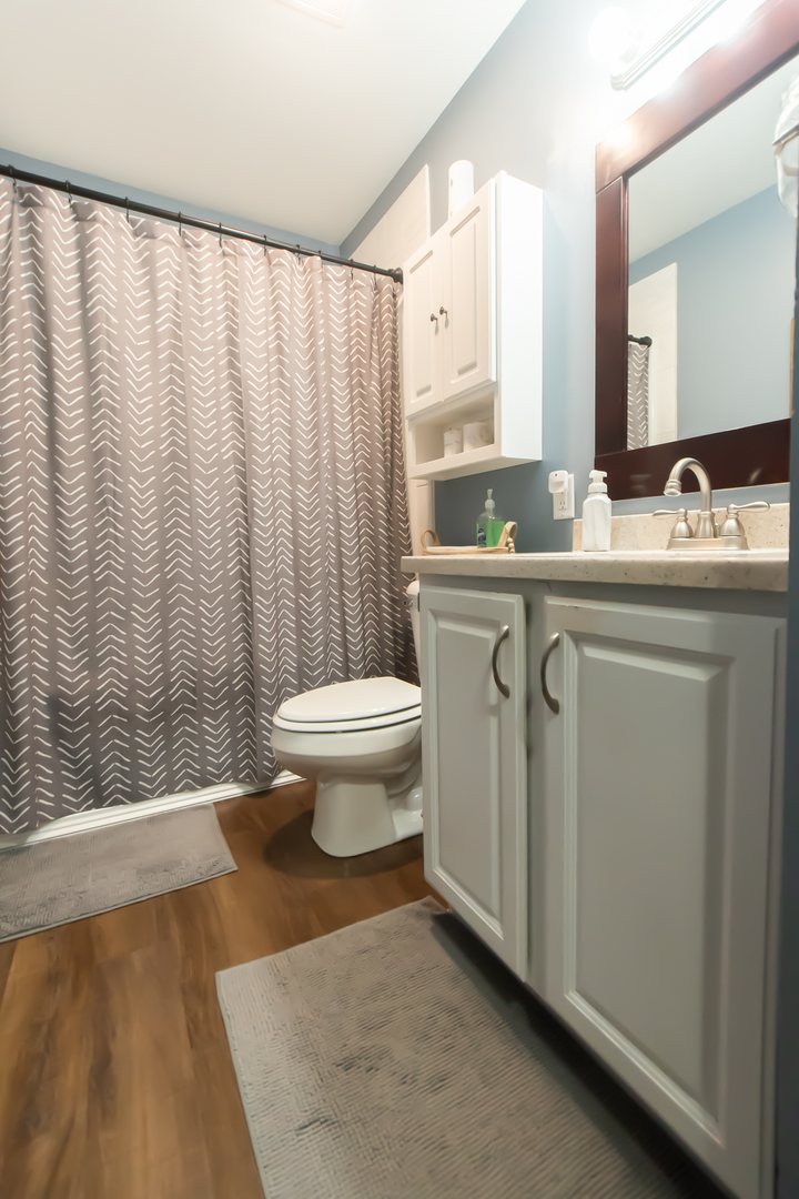 617 Orchard Street Dixon, IL 61021 - Photo 21 of 32 a spacious bathroom with a sink a toilet a mirror and shower curtain