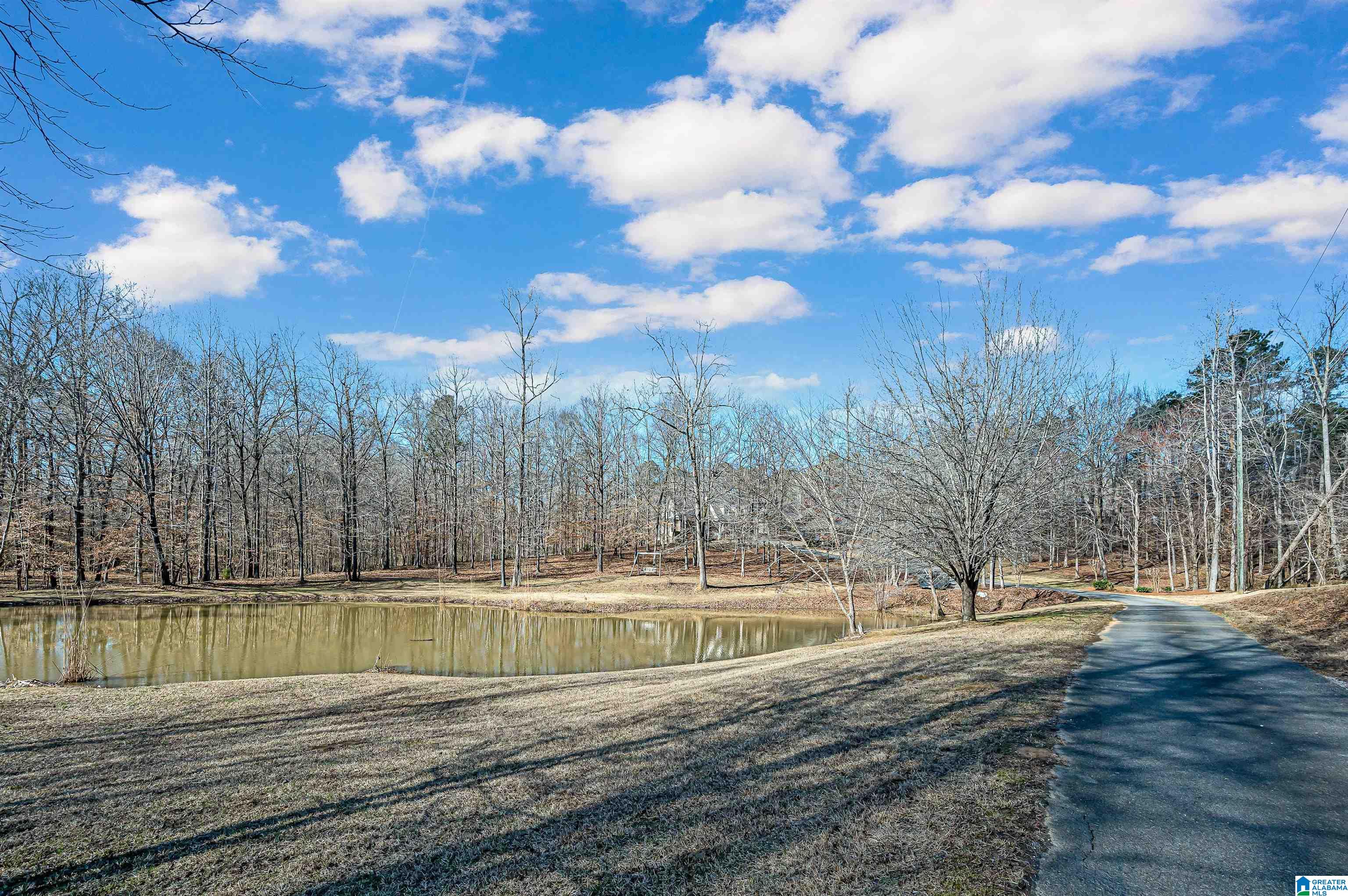 323 Whisenhunt Road Chelsea, AL 35043 - Photo 36 of 57