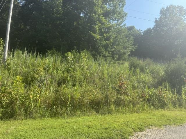 3 Carroll Hollow Road Waynesboro, TN 38485 - Photo 21 of 25 Gallery Image 21