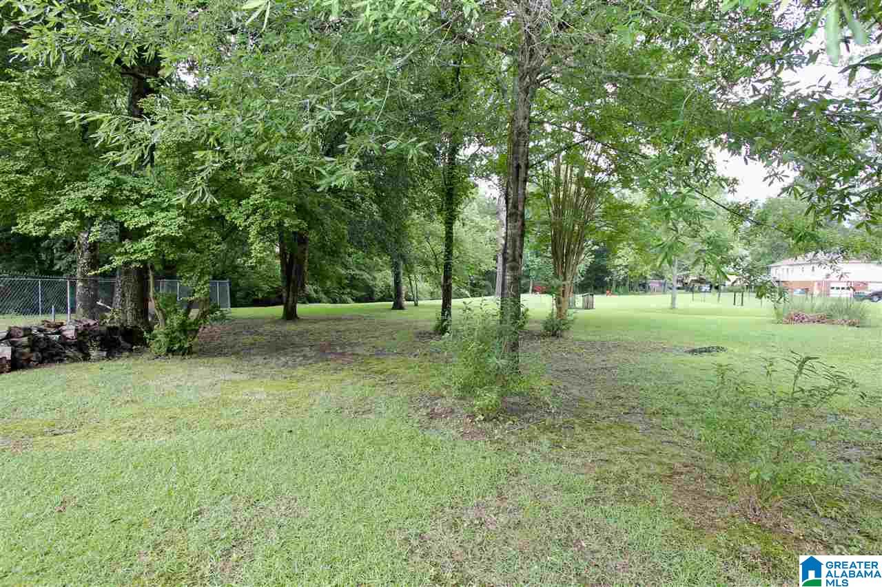 4509 Little Ridge Drive Birmingham, AL 35242 - Photo 27 of 30