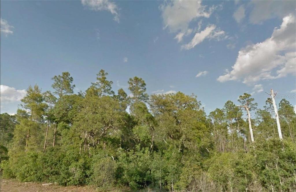Eagle Road Altoona, FL 32702 - Photo 1 of 1 Gallery Image 1