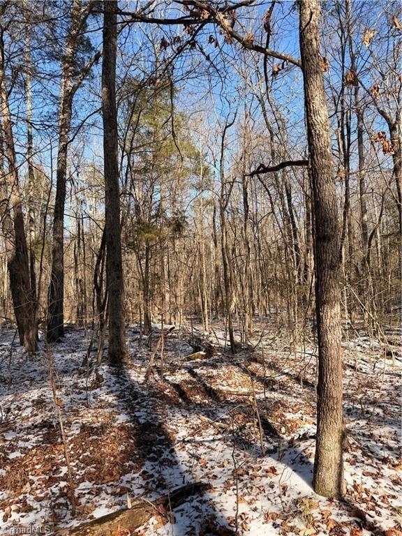 0 Stokes Ferry Road Gold Hill, NC 28071 - Photo 2 of 4