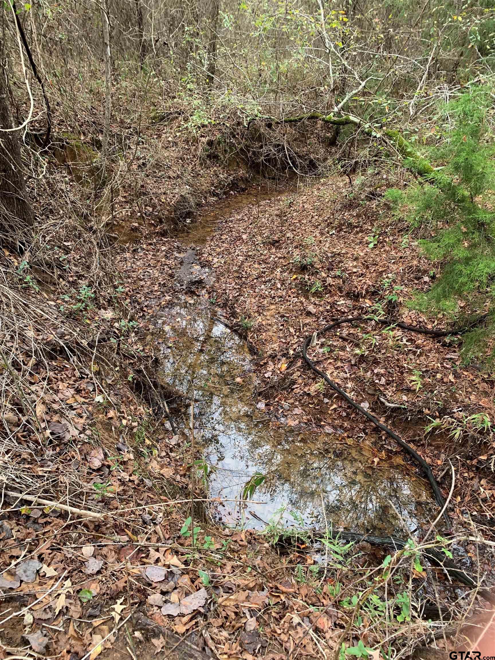 16650 C R 3419 Brownsboro, TX 75756 - Photo 29 of 36 a view of a yard with a tree