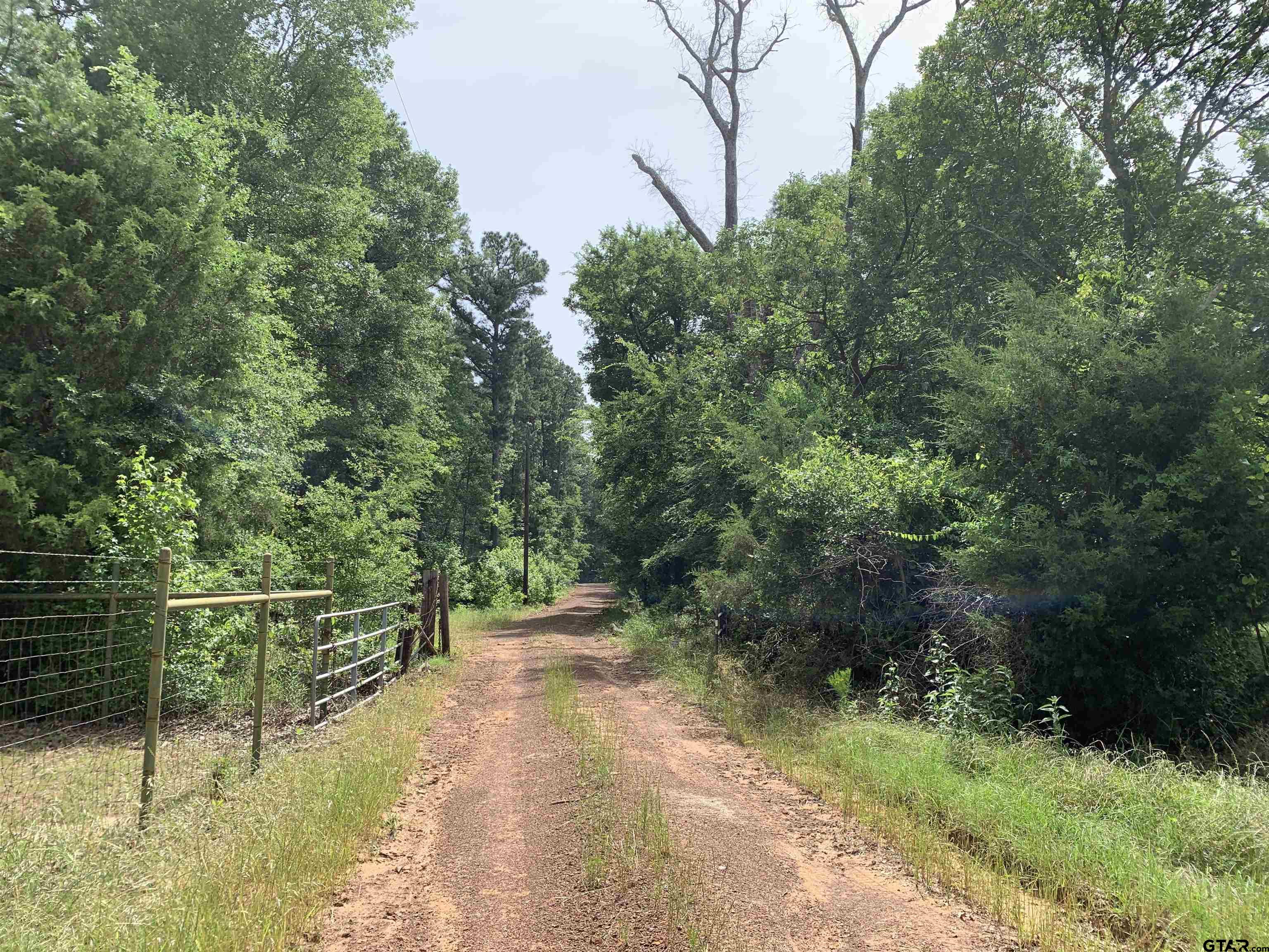 16650 C R 3419 Brownsboro, TX 75756 - Photo 35 of 36 a view of a pathway with a park