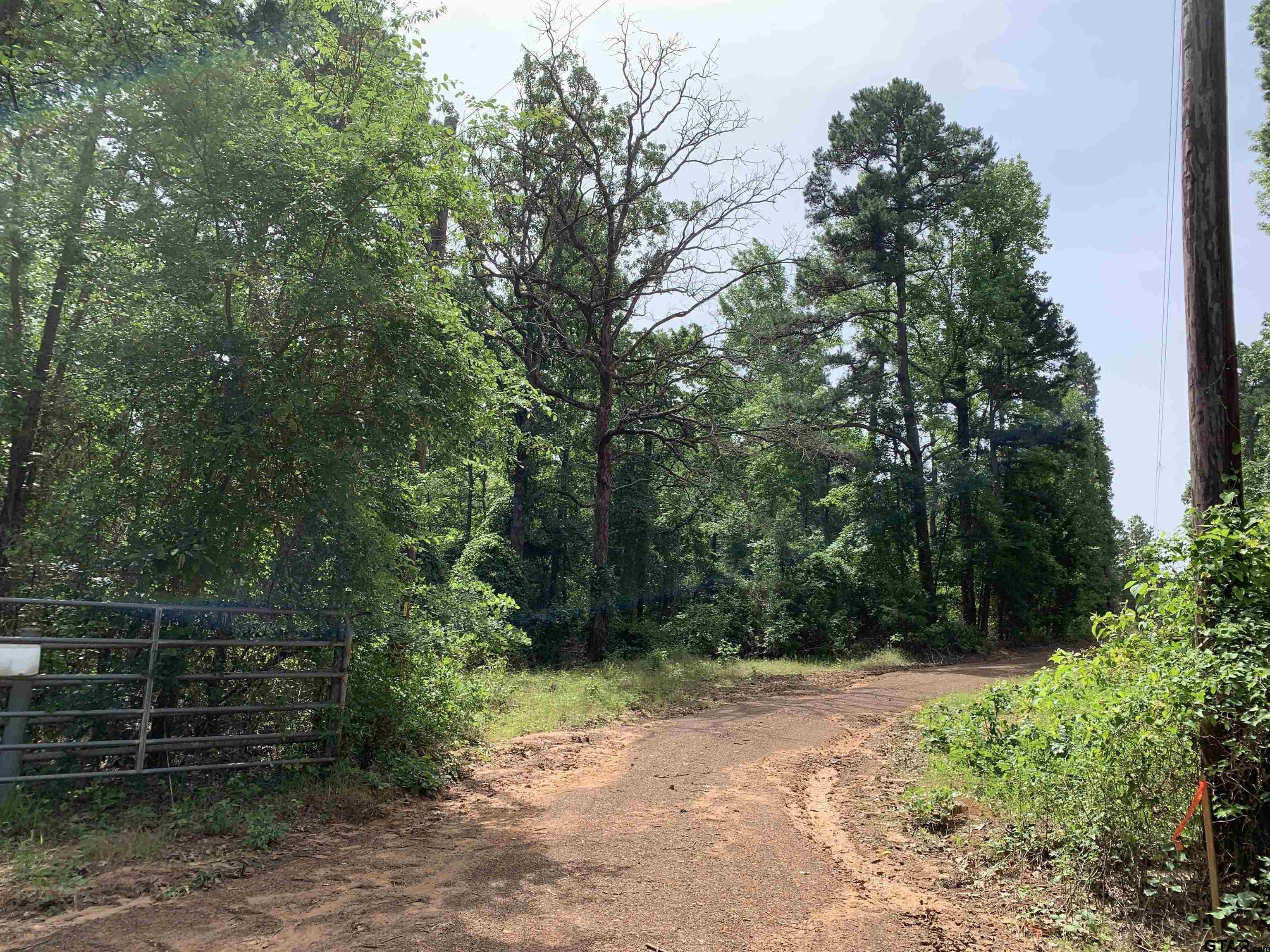 16650 C R 3419 Brownsboro, TX 75756 - Photo 36 of 36 a backyard of a house with lots of green space