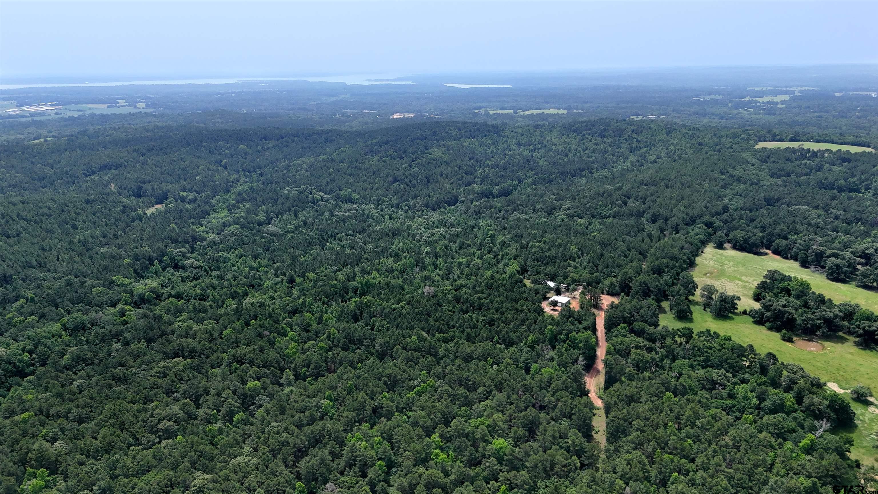 16650 C R 3419 Brownsboro, TX 75756 - Photo 4 of 36 an aerial view of residential houses with outdoor space and trees