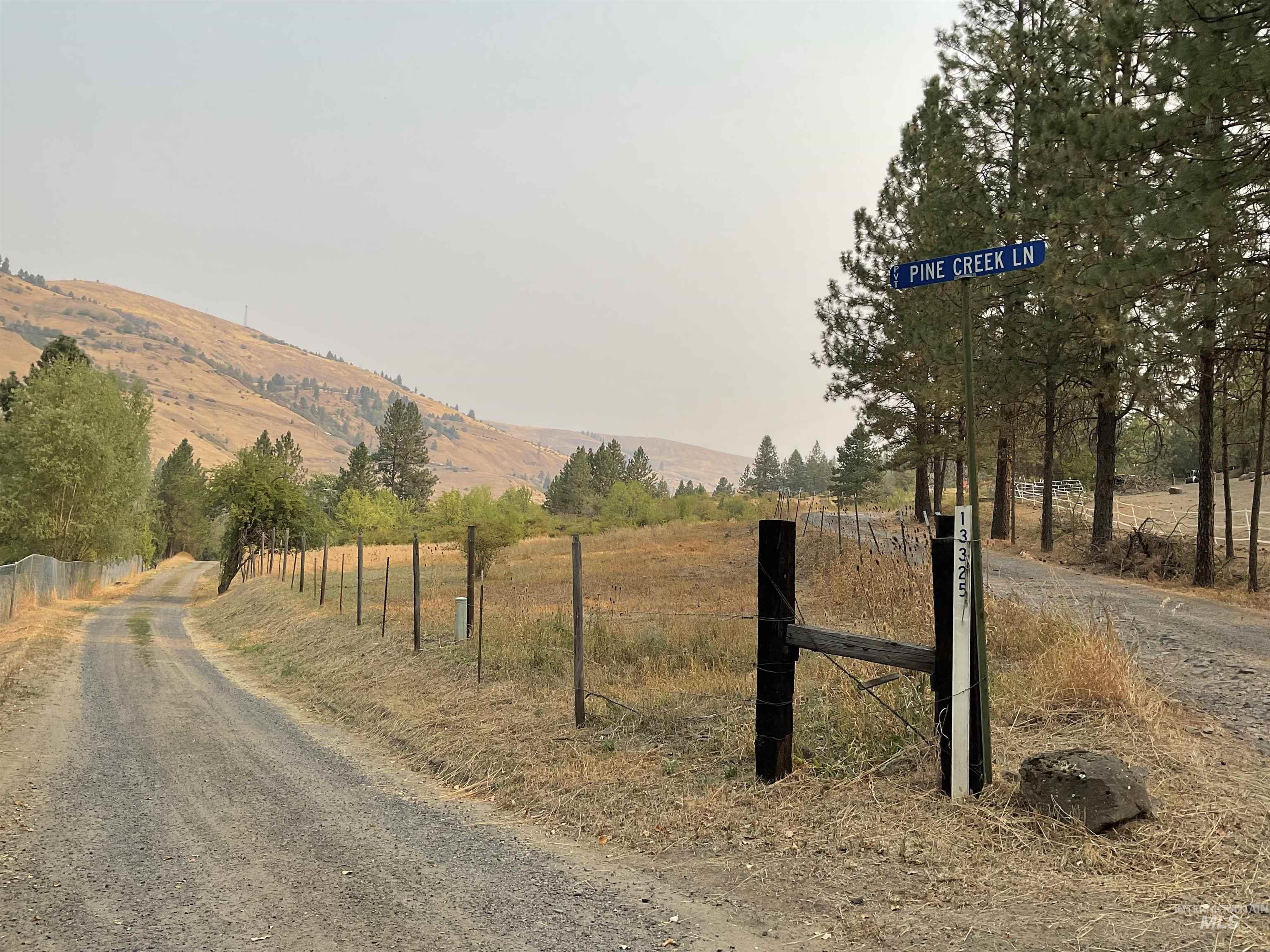 13790 Cross Farm Road Juliaetta, ID 83535 - Photo 5 of 22 View of dirt / gravel road featuring a view of rural / pastoral area