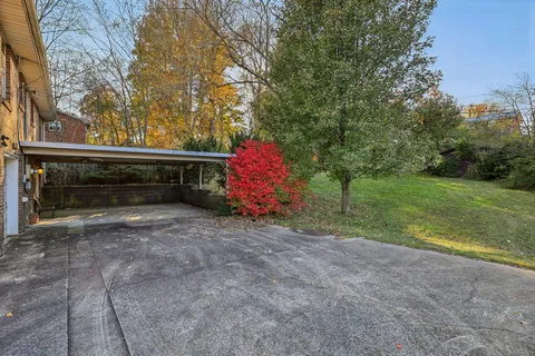 a view of a trees in a yard