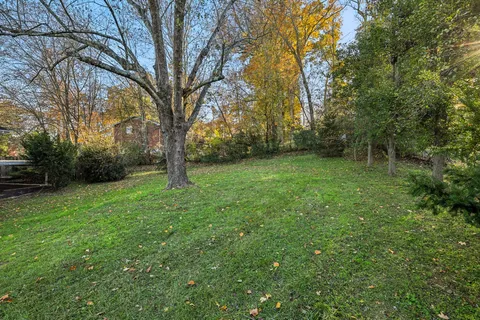 a view of a field with large trees