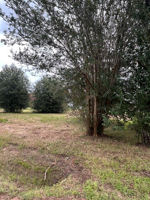 0 2nd Street Hempstead, TX 77445 - Photo 3 of 5